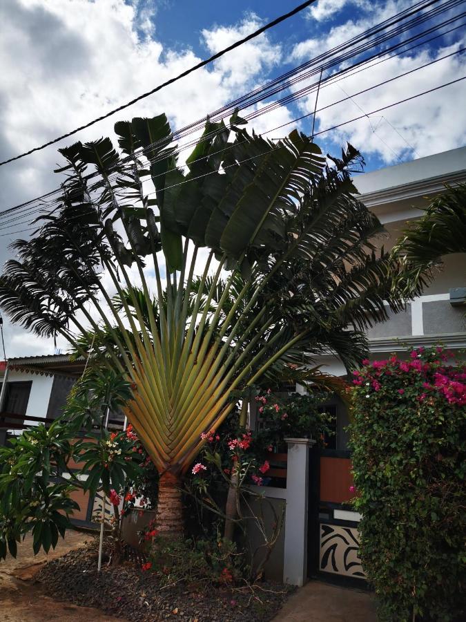 Residence Oak Petite Riviere 外观 照片